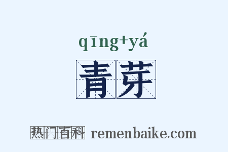 青芽是什么意思的图片